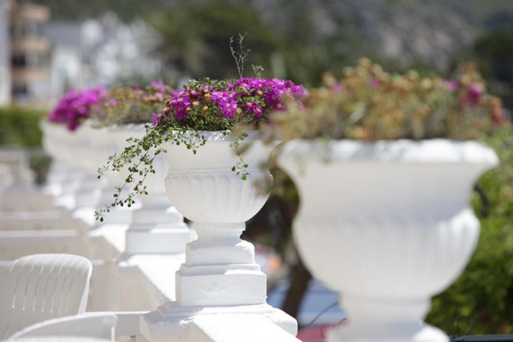 Hotel Miramar Mallorca Port de Pollenca Εξωτερικό φωτογραφία